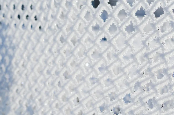 Мороз на сетке зимой — стоковое фото