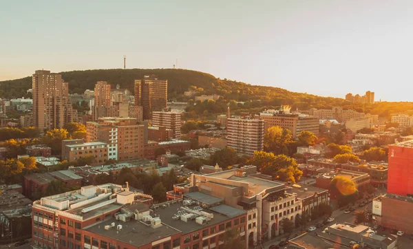 Montreal, Kanada Mount Kraliyet