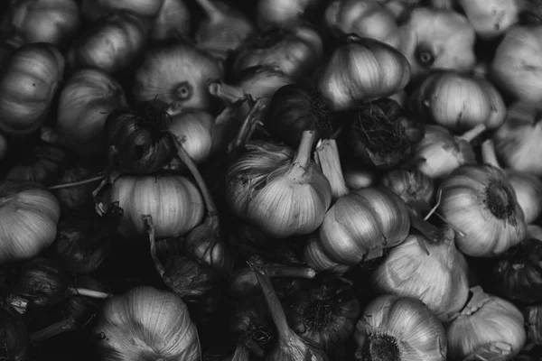 Moody pile of garlic in black and white