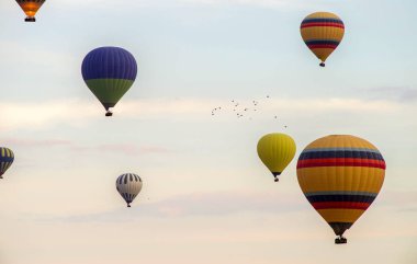 Renkli sıcak hava balonları arasında gökyüzünde uçan kuşlar sürüsü.