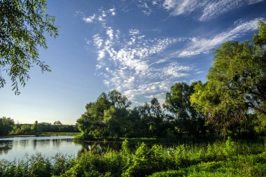 Yaz manzara mavi gökyüzü karşı bir göl etrafındaki ağaçlarla ile.