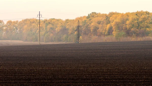 Gepflügtes Feld Mit Stromleitung Vor Dem Hintergrund Des Gelben Herbstwaldes — Stockfoto