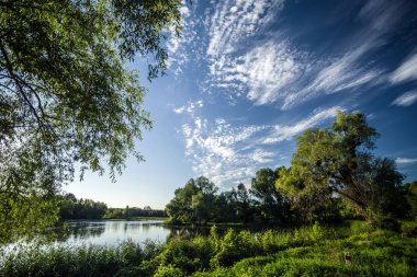 Yaz manzara mavi gökyüzü karşı bir göl etrafındaki ağaçlarla ile.