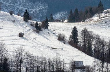 Karla kaplı dağ yamacı büyük bir köknar ve ahşap kulübe. Kış dağ manzarası.