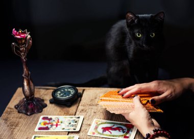 Siyah bir kedi ile bir falcı tarot kartları bırakır. Seçici odak.