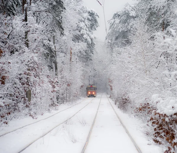 Старий Червоний Трамвай Залишає Відстань Через Засніжений Ліс Вибірковий Фокус — стокове фото