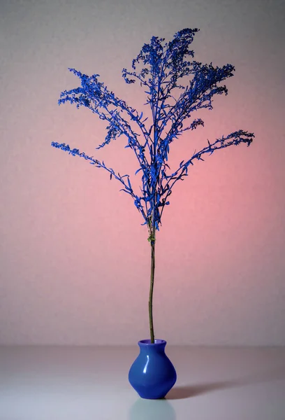 Nature Morte Avec Une Branche Bleue Décorative Dans Vase Bleu — Photo