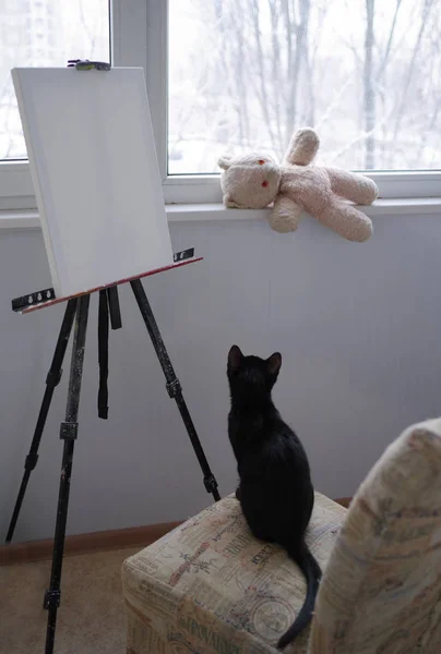 Gato Negro Sienta Una Silla Delante Del Caballete Con Lienzo —  Fotos de Stock