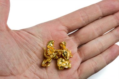 Birkaç altın nuggets erkek avuç. Beyaz arka plan üzerinde izole.