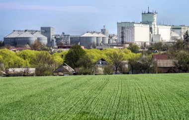 Köy manzarası ve tarım endüstrisi kompleksi önünde filizlenen yeşil alan..