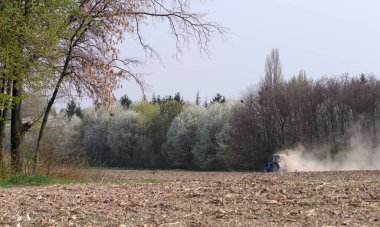 Küçük bir traktör ormanda sürülmüş bir alan yetiştirir. Seçici odaklama.