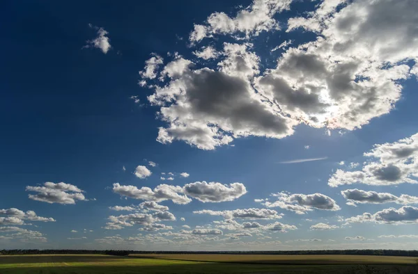 Летний Пейзаж Голубым Небом Белыми Облаками Над Полем Селективный Фокус — стоковое фото