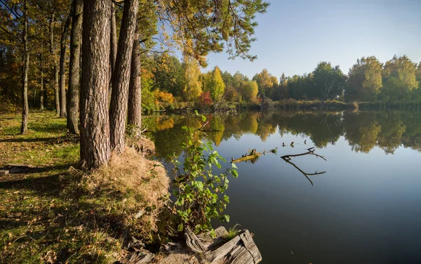 Ліс Березі Озера Відображенням Воді Осінній Пейзаж — стокове фото