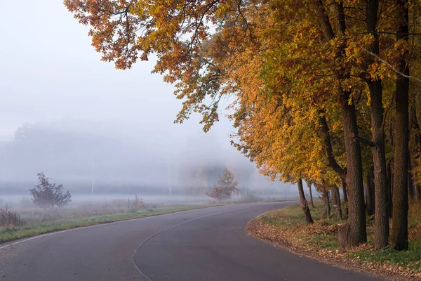 Silnice Podzimních Stromů Mlhavá Podzimní Krajina Selektivní Zaměření — Stock fotografie