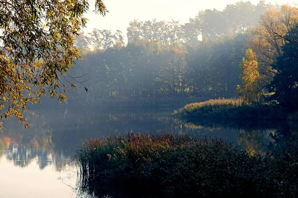 The rays of the sun in the morning shining through the haze over the lake. Autumn landscape.