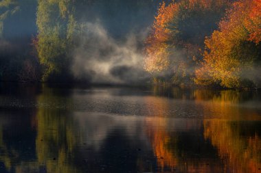 Siste gölün arka planında kırmızı ve sarı yapraklı sonbahar ağaçları