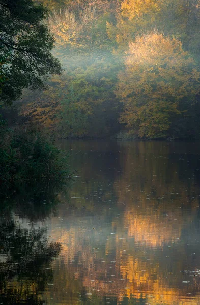 Lac Dans Forêt Paysage Automne Avec Des Feuilles Jaunes Rouges — Photo