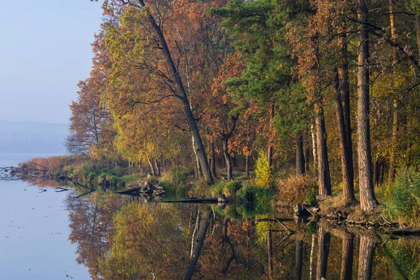 Podzimní Les Barevnými Listy Jezeře Odrazem Vodě — Stock fotografie
