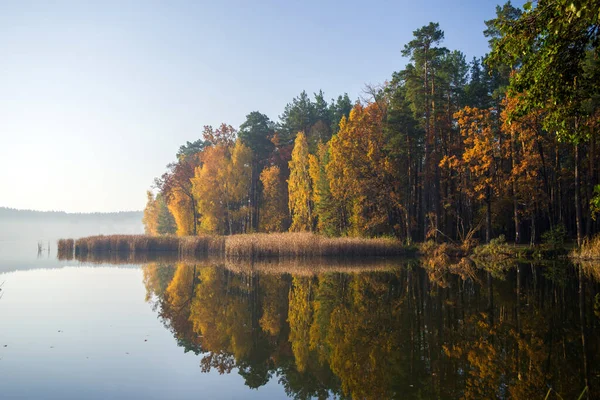 Podzimní Les Barevnými Listy Stromech Odráží Jezerní Vodě — Stock fotografie