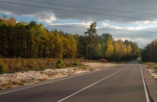 Asphalt road under electric wires in the forest. Autumn landscape with dramatic clouds.