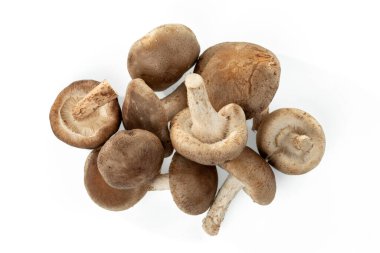 Bir grup shiitake mantarı beyaz arka planda izole edilir.. 