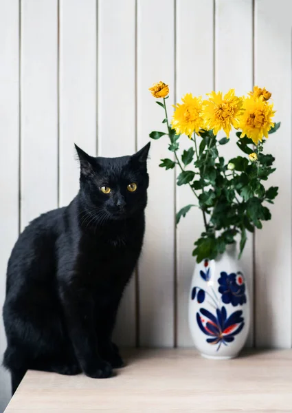 Zwarte Kat Met Gele Ogen Bij Een Vaas Met Gele — Stockfoto