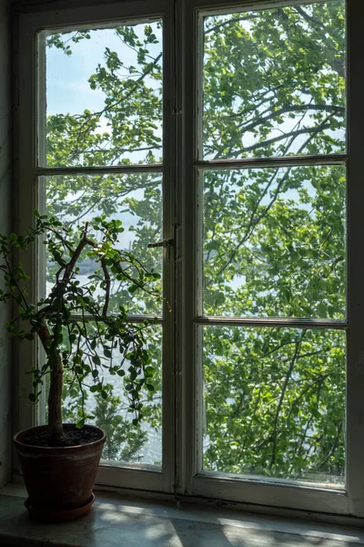 Blick Auf Die Natur Vom Haus Aus Durch Das Alte — Stockfoto