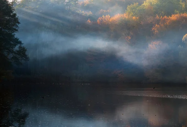 Autumn Trees Red Yellow Leaves Background Lake Fog — Stock Photo, Image