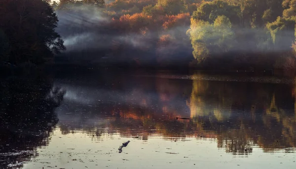 Autumn Trees Red Yellow Leaves Background Lake Fog — Stock Photo, Image