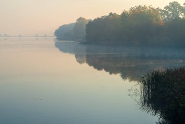 Gölün kıyısındaki ormanın arka planına karşı sisli bir sabah..
