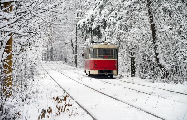 Старий Червоний Жовтий Трамвай Їде Через Сніговий Ліс Зимовий Графік — стокове фото