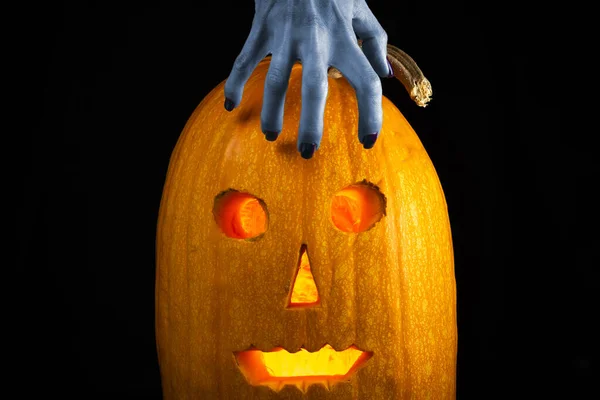 Hands of a dead woman on a Jack-o'-lantern. Isolated on black background.