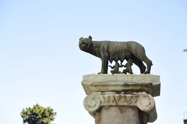 Rom Lupa Capitolina Symbol För Rom Romulus Och Remus Vårdas — Stockfoto