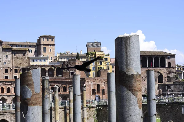 Rome, Italy, ruins of the imperial forums, remains of buildings. Caesar\'s Forum