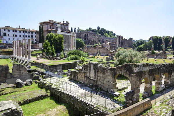 Roma Talya Mparatorluk Forumlar Kalıntıları Barış Tapınağı Kalır — Stok fotoğraf