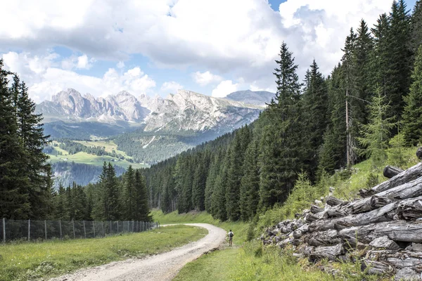 Fiyatı alp dağ izi üzerinde. Dolomites, Alpler, İtalya