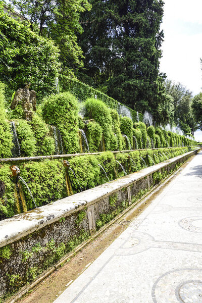 Beautiful fountains and water jets in the green of the famous gardens of Villa D'Este. Tivoli, Italy