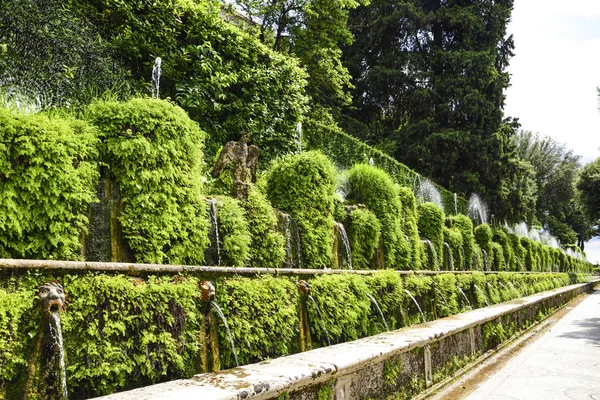 Water Flows Famous Fountains Villa Este Tivoli Italy — стоковое фото