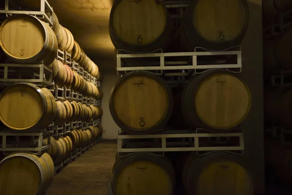 Fässer Italienischen Weins Merlot Und Sangiovese Keller Produziert Mittelitalien Umbrien — Stockfoto