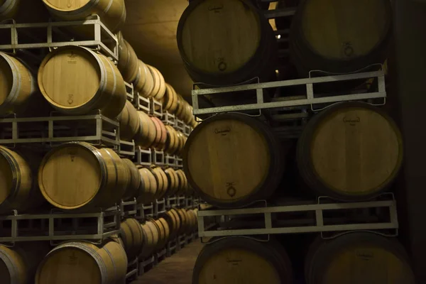 Fässer Italienischen Weins Merlot Und Sangiovese Keller Produziert Mittelitalien Umbrien — Stockfoto