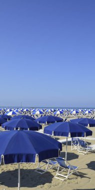 Beach plaj şemsiyeleri Versilia içinde ile. Viareggio, Toskana, İtalya