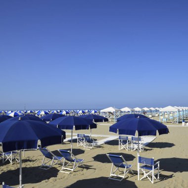 Beach plaj şemsiyeleri Versilia içinde ile. Viareggio, Toskana, İtalya