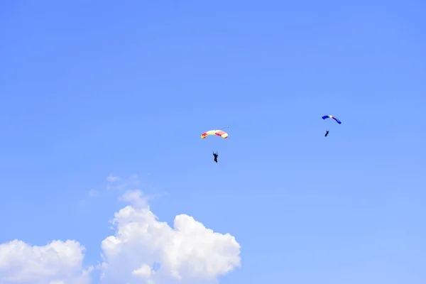 Dois Pára Quedistas Descem Contra Céu Azul — Fotografia de Stock