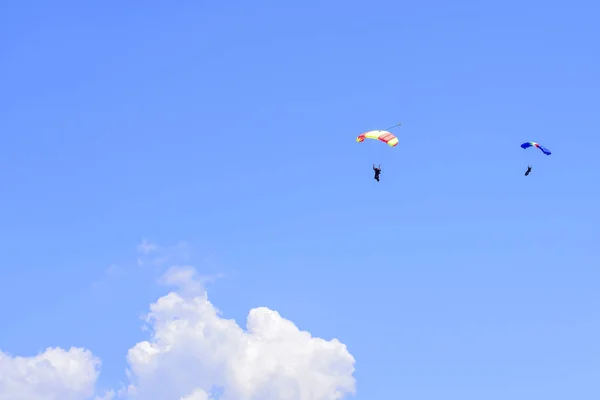 Zwei Fallschirmjäger Steigen Vor Blauem Himmel — Stockfoto