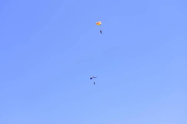 Twee Parachutisten Dalen Tegen Een Blauwe Hemel — Stockfoto