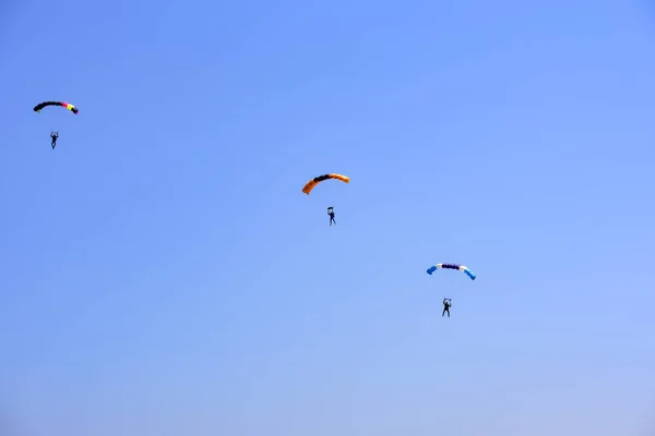 Trois Parachutistes Descendent Contre Ciel Bleu — Photo