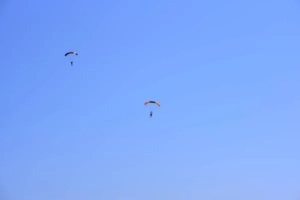 Twee Parachutisten Dalen Tegen Een Blauwe Hemel — Stockfoto