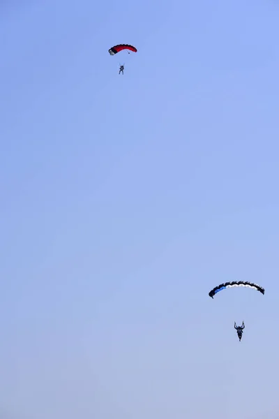 Dos Paracaidistas Descienden Contra Cielo Azul — Foto de Stock