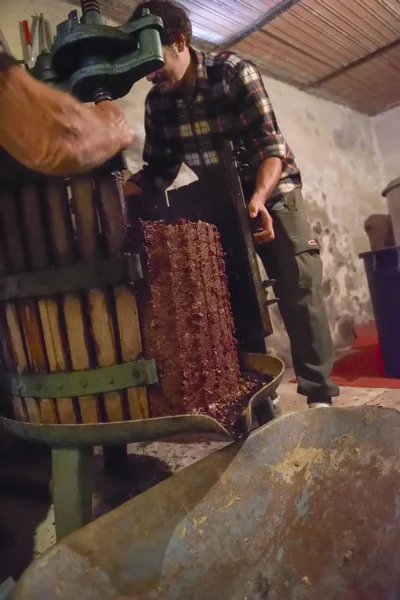 Winemaking. Old wooden wine press with must inside. Pressing of grapes for red wine