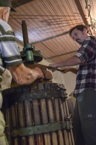 Winemaking. Old wooden wine press with must inside. Pressing of grapes for red wine